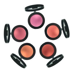 China Private Label Waterproof Face Makeup Pressed Blush And Bronzer wholesale