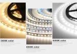 SMD 2835 Single Color LED Strip For Home Hotel Advertising Multifunctional