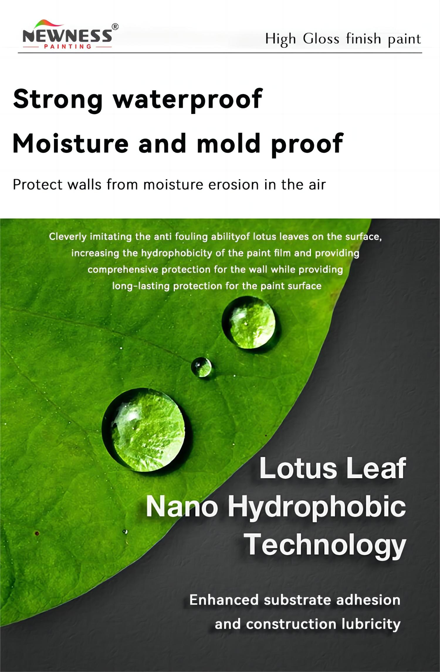 Weatherproof Topcoat Varnish Dry Time 3-5 Days EINECS No. 202-415-4 Odorless Function