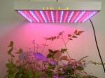 Horticulture High Efficiency 150 Watt 15000 Lumen 120 Degree Led Grow Light