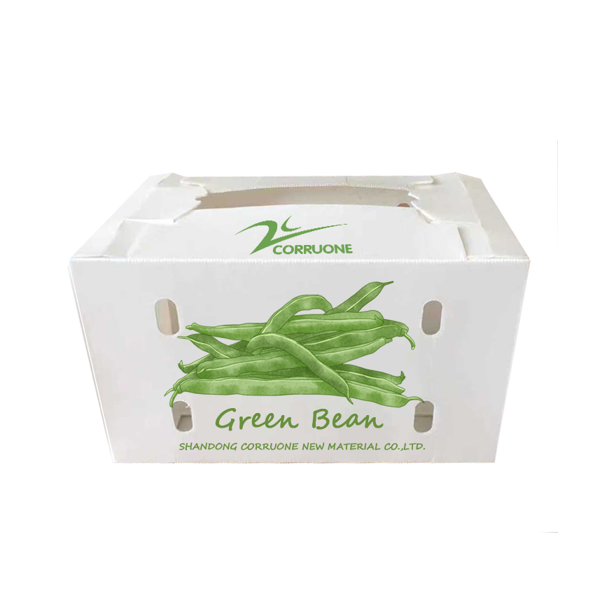 Black Corriflute Fruit Corrugated Boxes Corrugated Plastic Storage Containers
