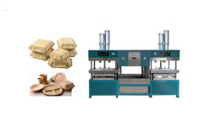 China Oil Proof Pulp Molding Machine To Produce Salad Box wholesale