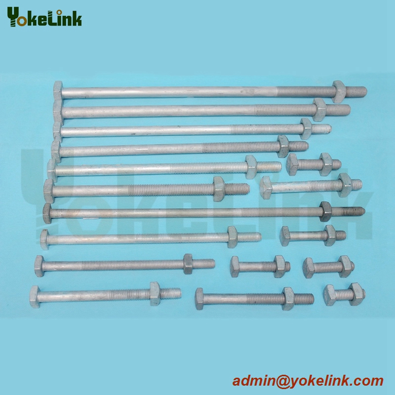 Square Head Machine Bolt