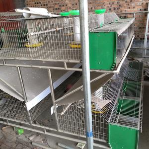 China Industrial 2 Layer Female Chicken Wire Rabbit Cage Electric Galvanized wholesale