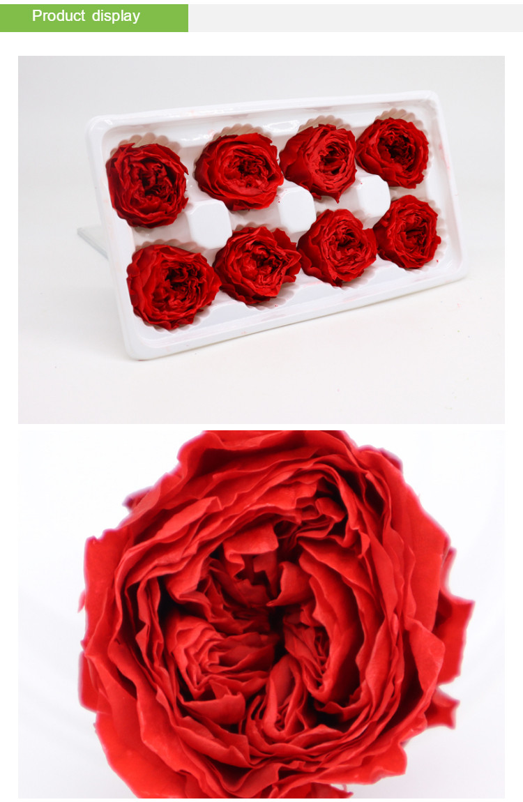 4-5cm Austin Flower Rose Head Preserved Long Lasting Eternal Rose For Wedding Decoration