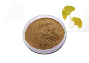 China 24% Flavones 6% Lactones Pure Natural Ginkgo Biloba Extract Powder wholesale