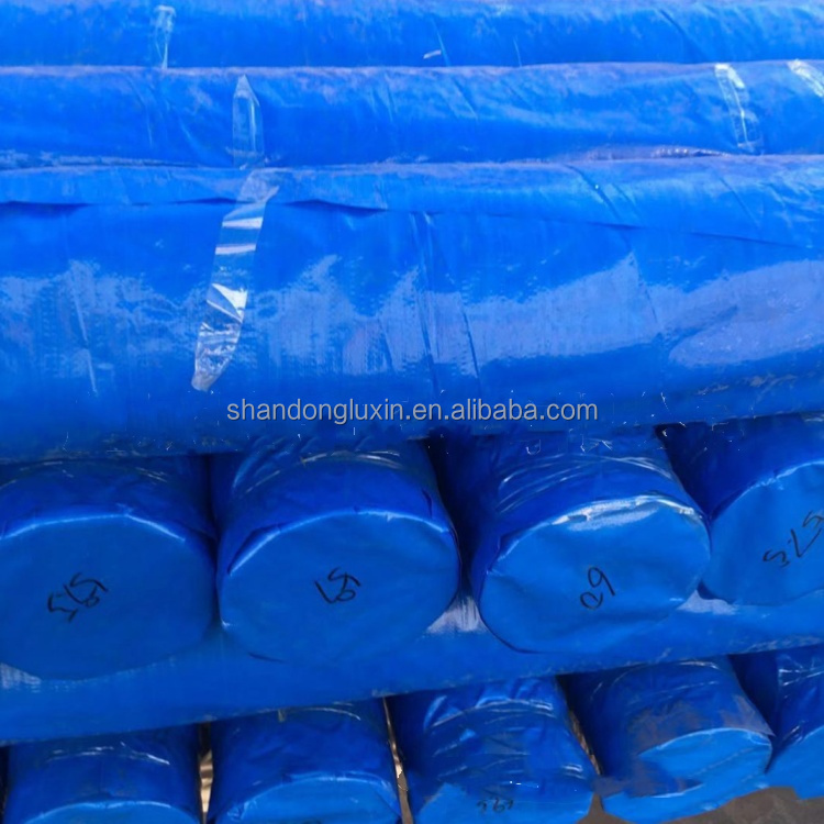 Customized Color PE Tarpaulin for Tent Waterproof Heavy Duty Rainproof Moisture-proof