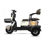 EU Stock Electric Offroad Scooter Motorcycle for Passenger 3 Wheel Adult Trike