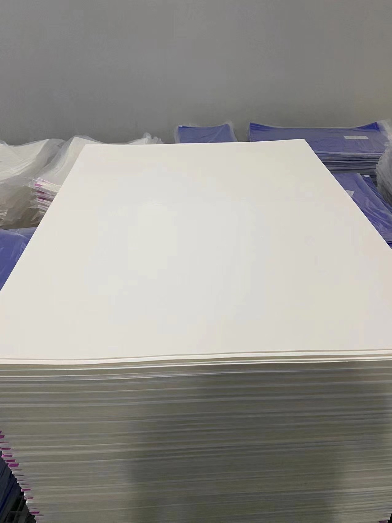 Customized Cleanroom Disposable Adhesive Laminated peel off transparent white blue sticky mat