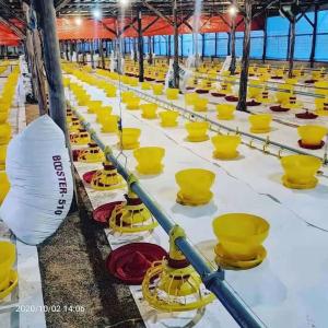 China Poultry Farm Automatic Chicken Drinkers And Feeders wholesale