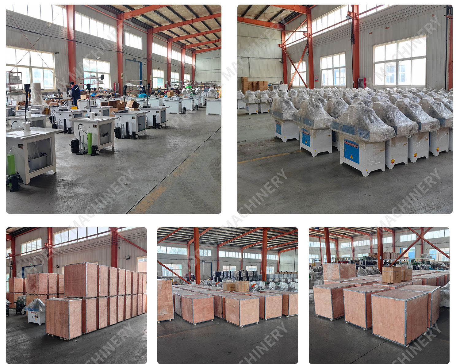 Woodworking Saw Blade Grinding Machine with Automatic Swing Head and High Speed Gear