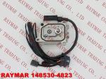 ZEXEL Fuel pump electric governor 148530-4823, F01G29X06F