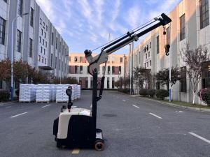 China Non Standard Electric Mini Crane Arm Truck Rated Lifting Capacity 300 KG wholesale