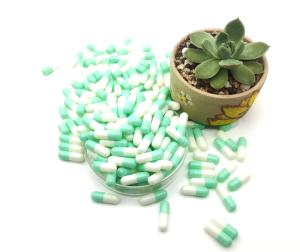 China Pharmaceutical Grade Gelatin HPMC Empty Gel Capsules Separated wholesale