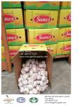 Garlic to Brazil