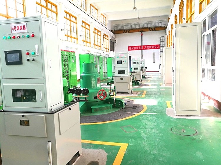 Hydro Turbine Speed Governing System