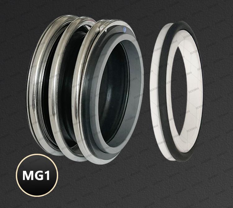BERGMAN 109/MG1-12mm-110mm G60 G4 G6 G9 G13 G16 BS Bo BP Pump Mechanical Seal