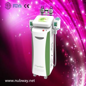 China Newest fast amazing result cryolipolysis machine 2013 to lose weight wholesale
