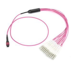 China ROHS Approval Fiber Cable Assembly MPO/MTP Fiber Optic Fan Out Kit wholesale