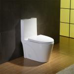 Dual Flush Water Saver Titan Elongated Toilet American Cupc Standard