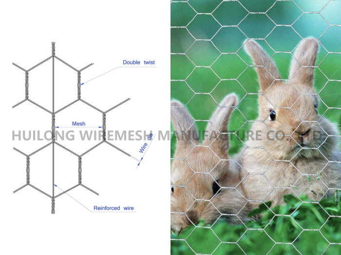 1/2inch Galvanized Hexagonal Poultry Netting Chicken Wire 1.2m X 10m