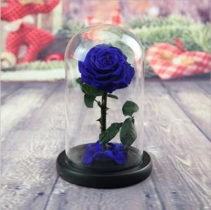 China OEM Perfect Valentines Day Gifts Multiple Colours Preserved Everlasting Real Rose Flower in Glass Dome wholesale