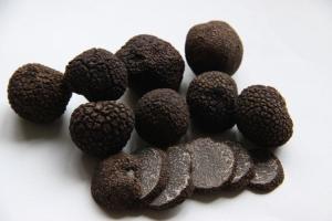 China Frezen truffle wholesale