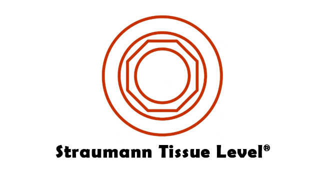 ITI Straumann Tissue Level Synocta® Implant Titanium Healing Cap Abutment Compatible RN 4.8mm / WN 6.5mm