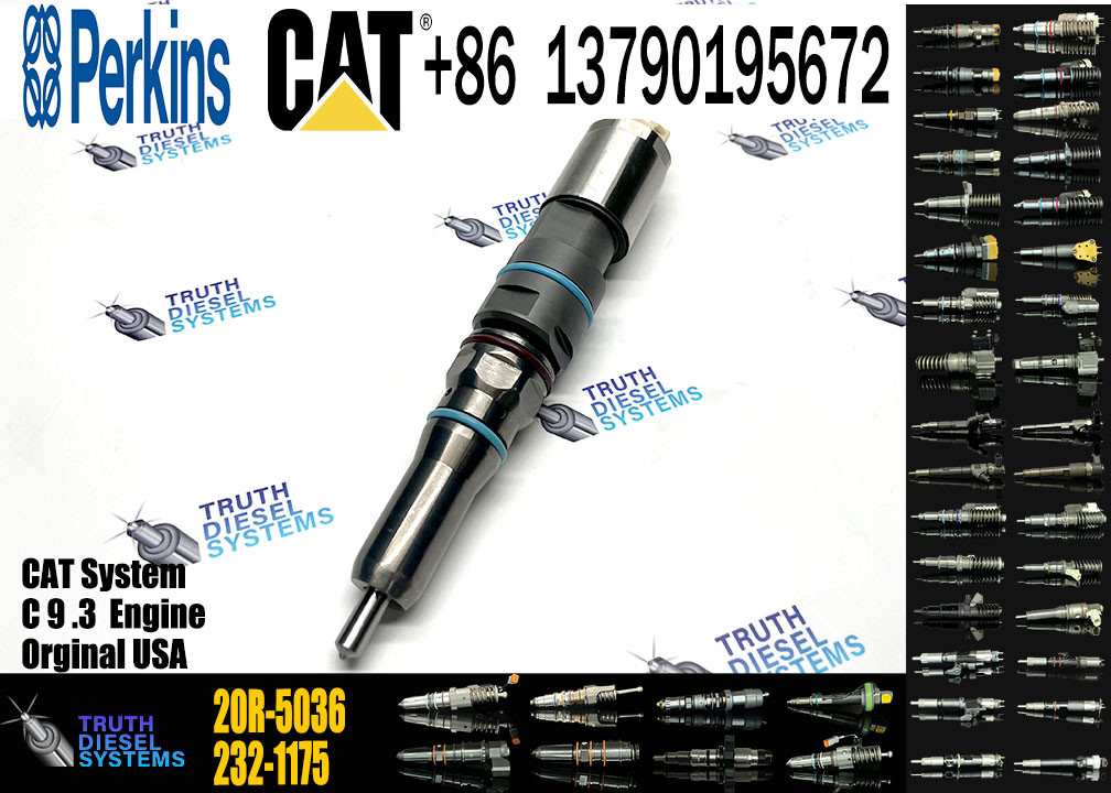 Common Rail Fuel Injector 20R-5036 20R-5079 20R-1318 173-9268 198-7912 460-8213 342-5487 417-3013 304-3637 For Cat C9.3