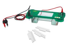 China Moulding Design Horizontal Gel Electrophoresis Apparatus 365 × 105 × 55 Mm wholesale