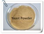Animal Feed Grade Dried Brewer Fodder Yeast Powder