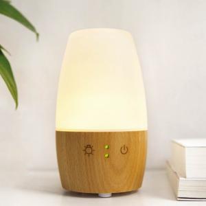 China Electric Ultrasonic Essential Oil Diffuser For Home Office Hospital wholesale