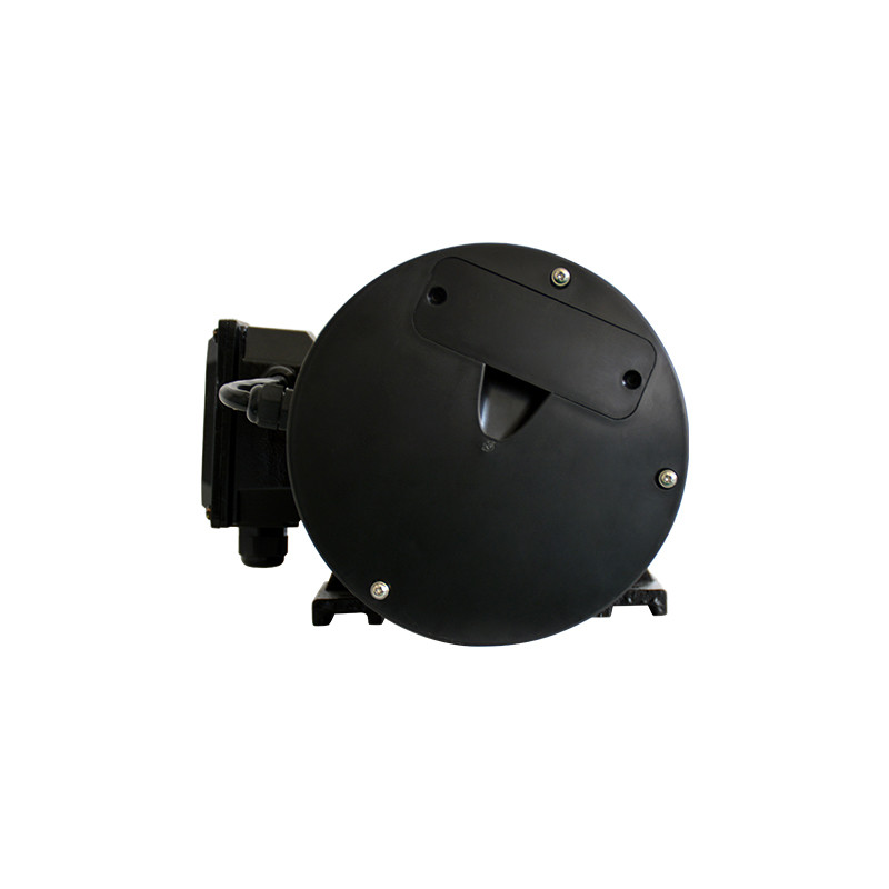 100 To 200Hz Permanent Magnet Synchronous Motor Perpetual Magnetic Motor 380V