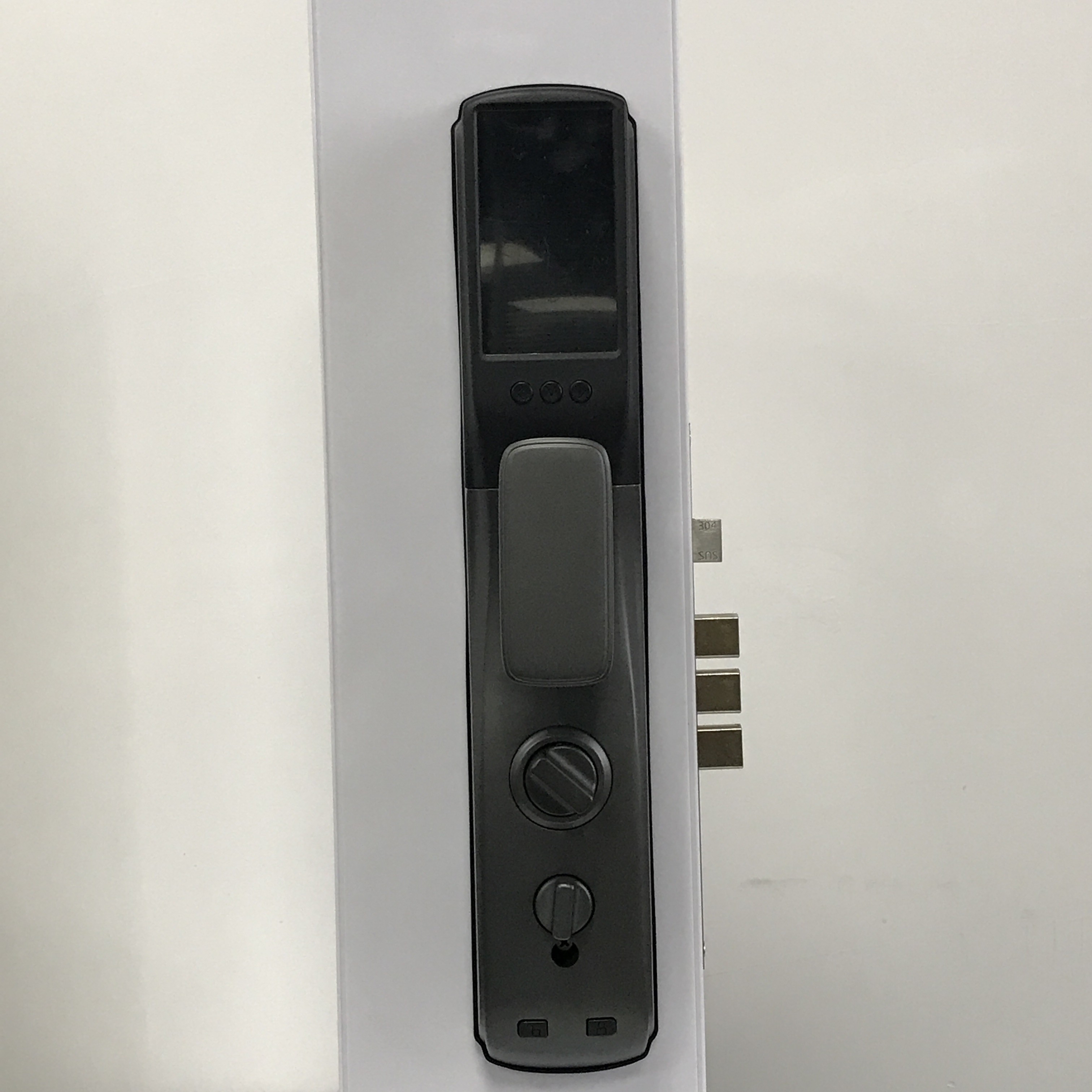 Multifunctional Tuya APP Smart Lock / 3D Face Recognition Door Lock