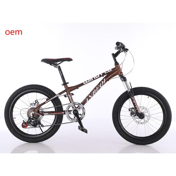 20 Inch 6 Speed MTB Mountain Bikes With Aluminum Alloy Rim