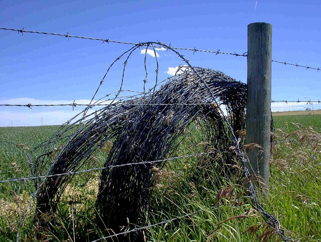 Security Zinc Coated Barbed Fence Wire For Corrosion Protection 2-3.2mm Diameter Free Sample Available