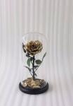 Natural Fresh Roses Flowers Everlasting Preserved Eternal Rose beautiful Rose