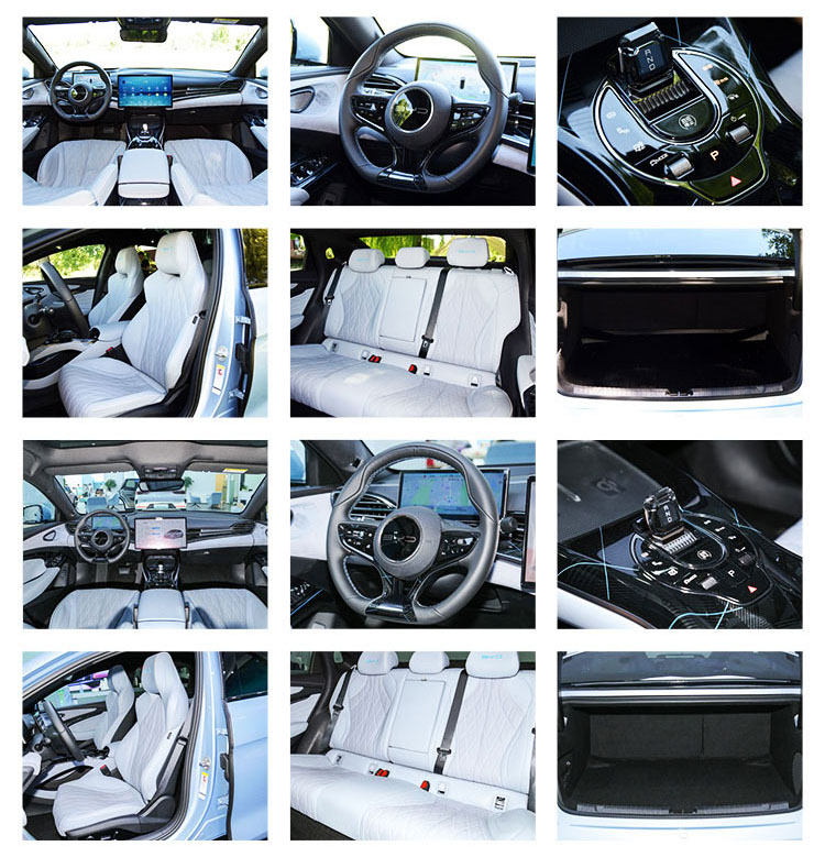 BYD SEAL EV 2023 DM-i EV 550km Standard Endurance Rear Drive Elite Max Speed 180 Km/h