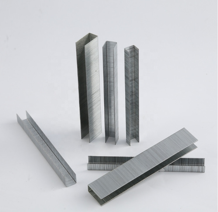 Staples 80 Staple 80 Series Staple 21Gauge Galvanized Nails Fine Wire Staples Sofa 80 Staple Pin 800