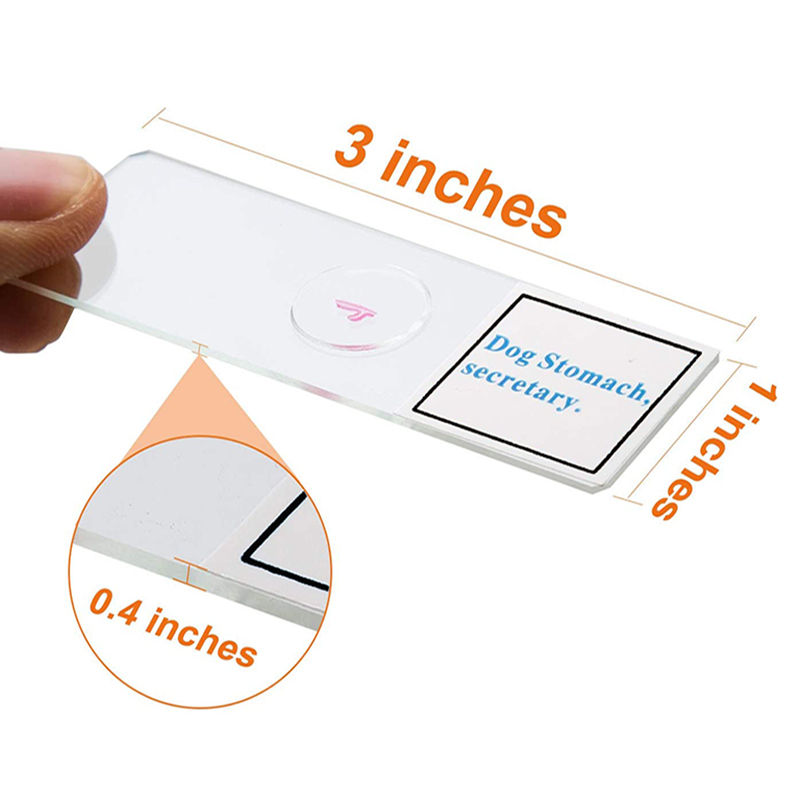 Medical Zoology Parasitology Microscope Prepared Slides For Teaching Learning