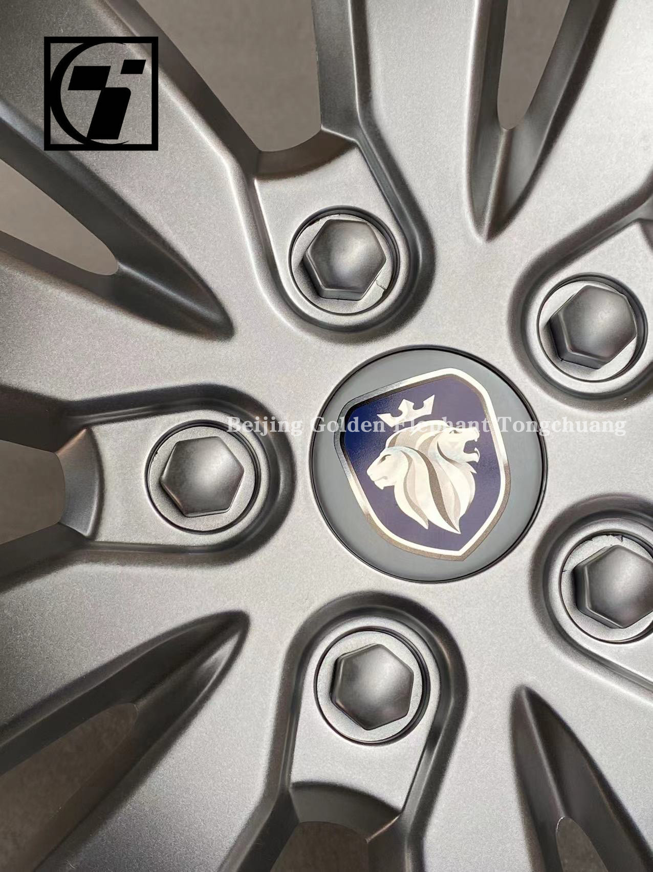 2016- Foton Authentic C5311180003A0 Tire Cover for Gratour ix5 ix7 14" 16" Oxford