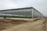 Low Cost Large Glass Greenhouse , Backyard Greenhouse Kit Electrical Or Water