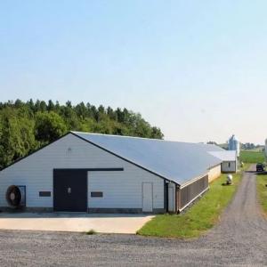 China Prefab Single Storey Steel Structure Fabrication For Warehouse Building wholesale