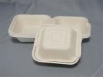 6" Hamburger Biodegradable Sugarcane Plates Restaurants