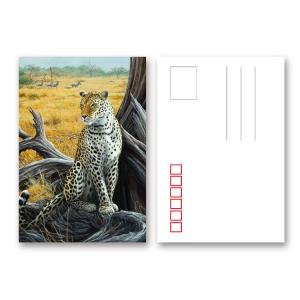 China PET/ PP Lenticular Postcard Printin 3D / Flip Effect Dinosaur Image Card wholesale