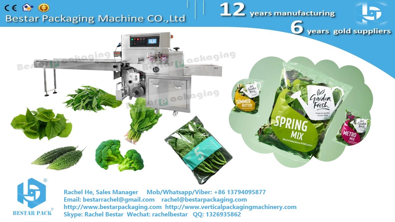 Greens cabbage leafy pouch packaging horizontal servo packing machine