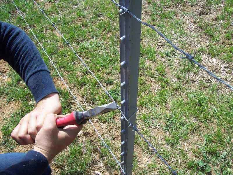 6 Feet Steel Studded T Post Galvanized Farm Fence Using