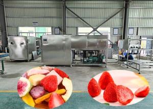 China 100kg Per Batch Industrial Freeze Drying Machine With 60dB wholesale