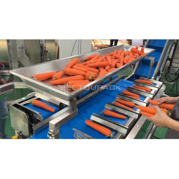 Semi Auto Carrot Weighing And Packaging Machine Vegetable Mesh Bag Packing Machine