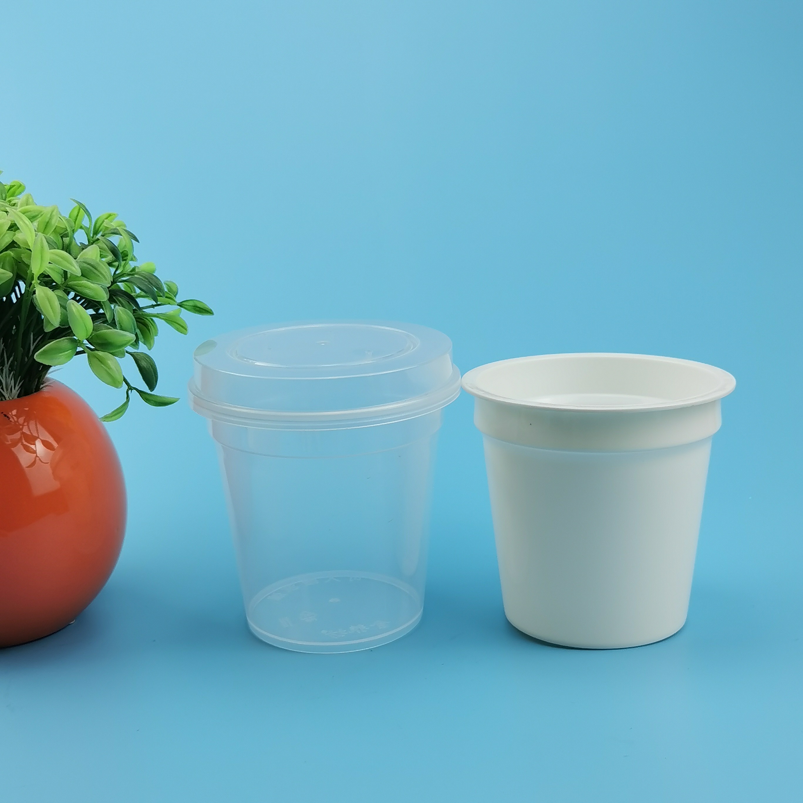 BPA Free PP 15Oz Reusable Plastic Tea Coffee Sugar Canisters